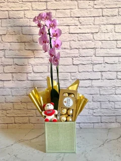 Combinado Orquídea Rosa + Chocolate + Pelúcia + Vaso