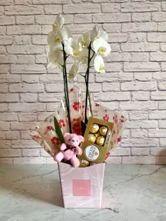 Combinado Orquídea Branca + Chocolate + Pelúcia + Vaso